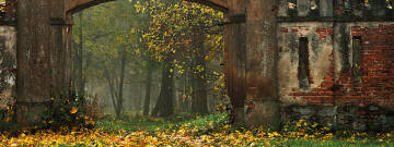 Zdjęcie przedstawia ruiny pałacu w falentach. Bramę wjazdową w lesie.