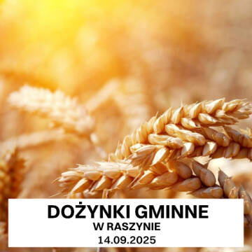 Grafika przedstawia zborze, które oświetlone jest promieniami słońca.