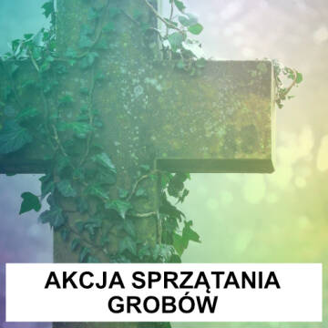 Grafika w odcieniach zieleni. Na grafice widnieje betonowy krzyk obrośnięty bluszczem