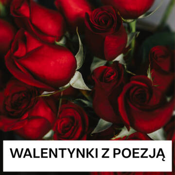 Zdjęcie przedstawia czerwone róże 
