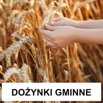 Grafika przedstawia dłonie dotykające kłosy żboża i napis Dożynnki Gminne