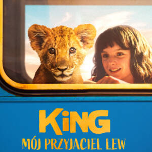 Grafika przedstawia dziewczynkę i małe lwiątko wyglądających przez okno