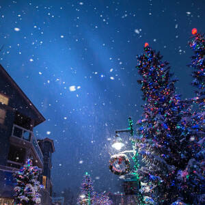 Grafika przedstawia rozgwieżdżone niebo, latarnię uliczną , choinki z kolorowymi lampkami oraz fragment domu.