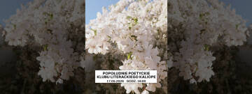 Grafika przedstawia białe kwiaty